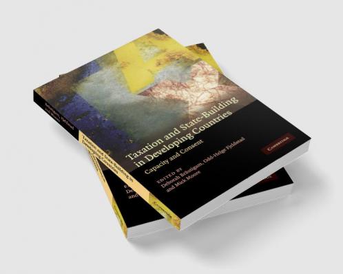 Taxation and State-Building in Developing Countries