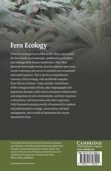 Fern Ecology