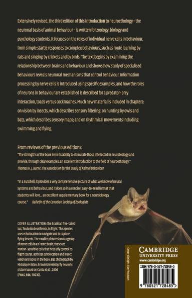 Nerve Cells and Animal Behaviour