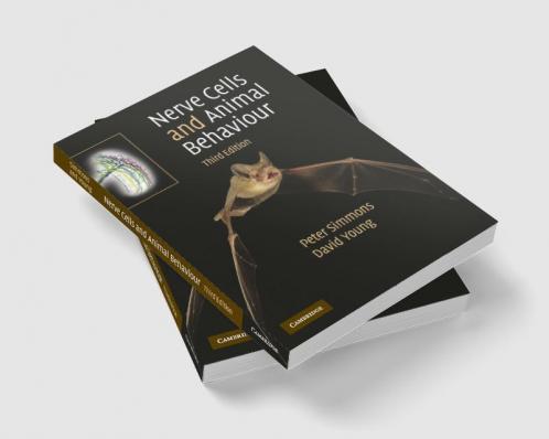 Nerve Cells and Animal Behaviour
