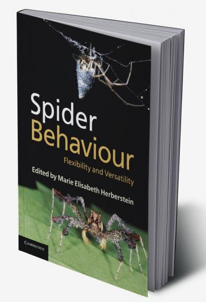 Spider Behaviour