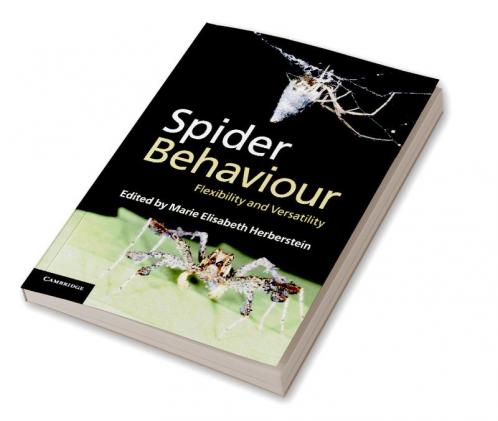 Spider Behaviour
