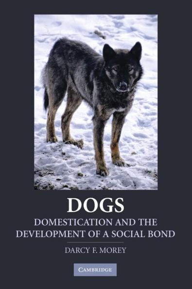 Dogs
