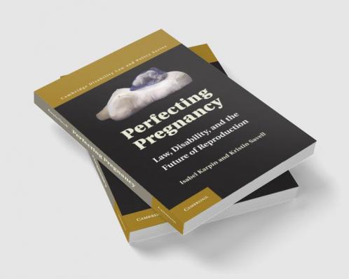 Perfecting Pregnancy