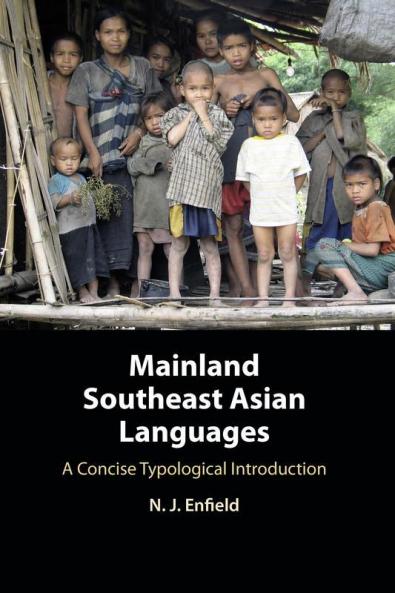 Mainland Southeast Asian Languages