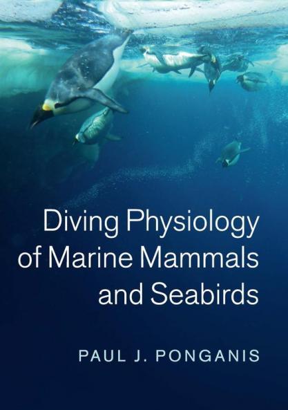 Diving Physiology of Marine Mammals and Seabirds