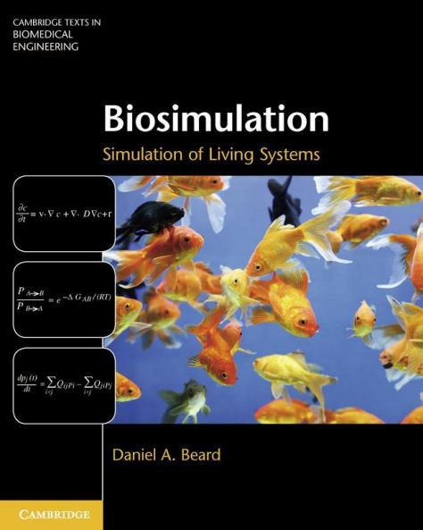 Biosimulation