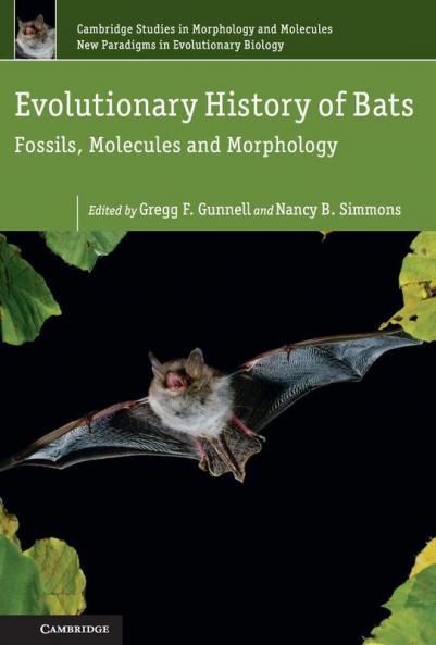 Evolutionary History of Bats