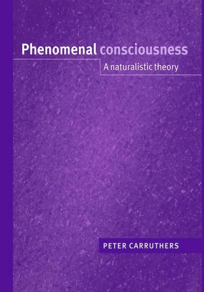 Phenomenal Consciousness