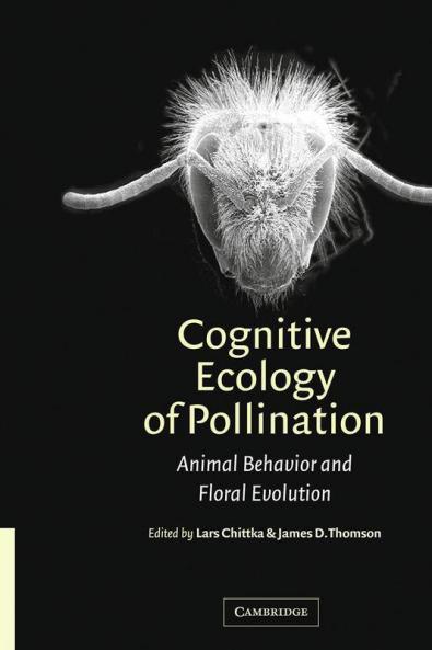 Cognitive Ecology of Pollination