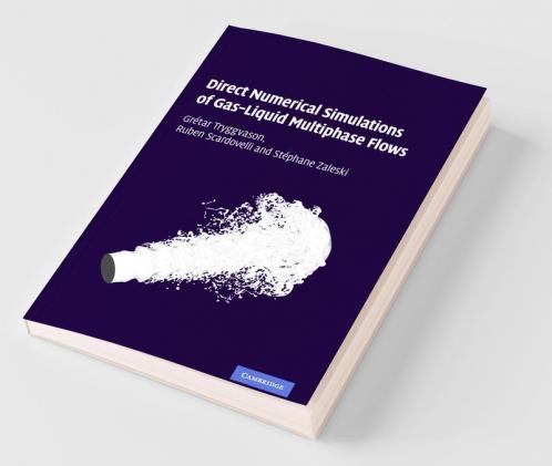 Direct Numerical Simulations of Gas-Liquid Multiphase             Flows