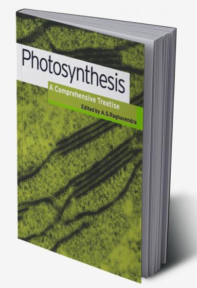 Photosynthesis