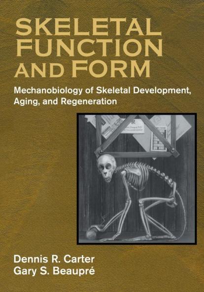 Skeletal Function and Form