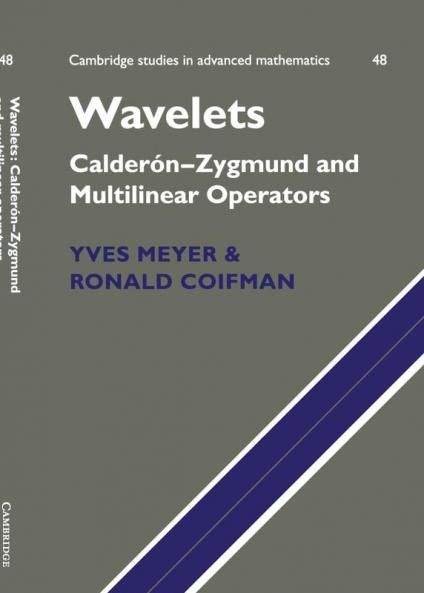 Wavelets