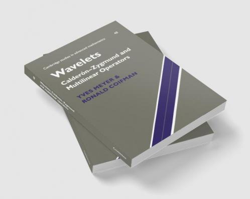 Wavelets