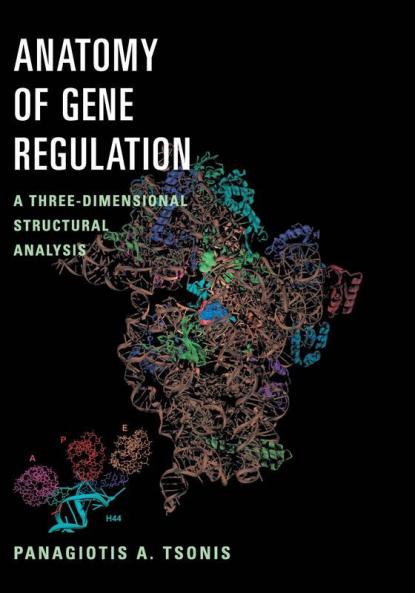 Anatomy of Gene Regulation