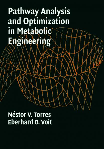 Pathway Analysis and Optimization in Metabolic Engineering