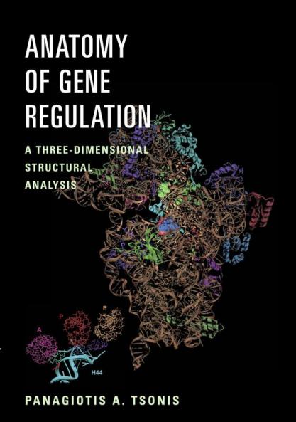 Anatomy of Gene Regulation