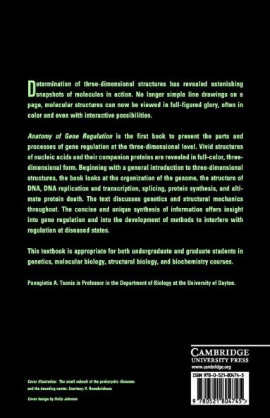Anatomy of Gene Regulation