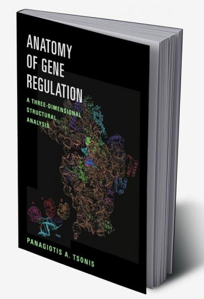 Anatomy of Gene Regulation