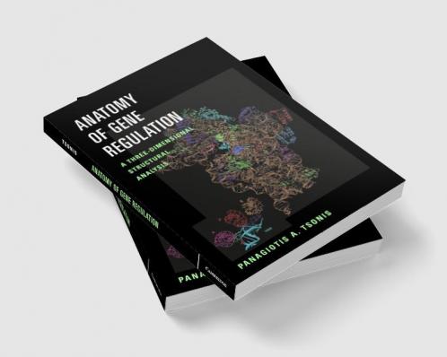 Anatomy of Gene Regulation