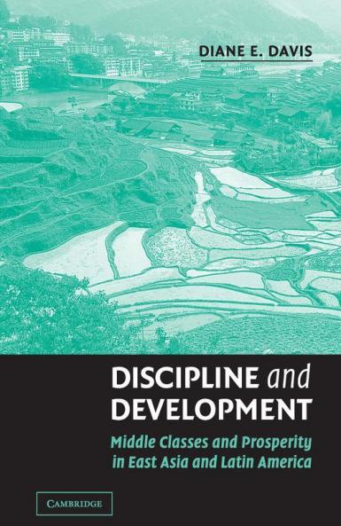Discipline and Development