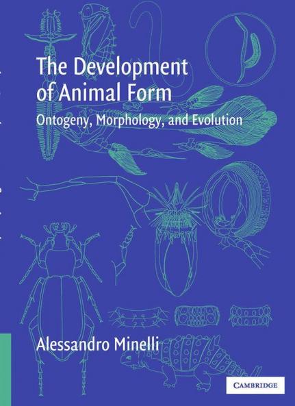 The Development of Animal Form