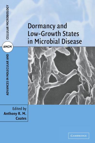 Dormancy and Low Growth States in Microbial Disease