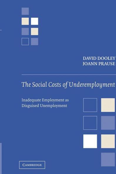 The Social Costs of Underemployment