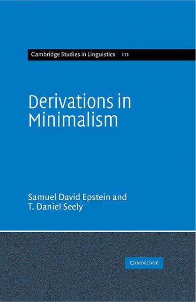 Derivations in Minimalism