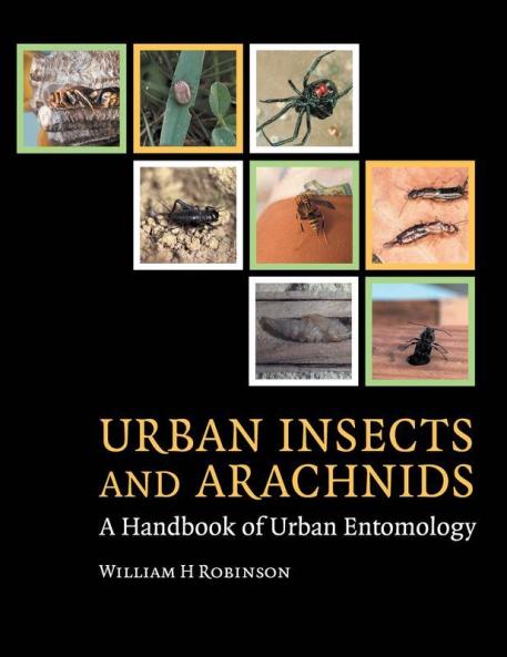 Urban Insects and Arachnids