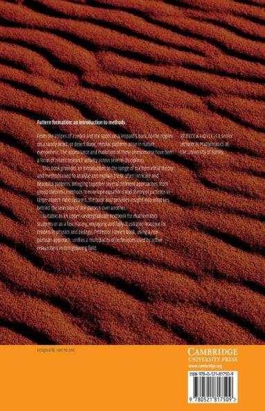 Pattern Formation