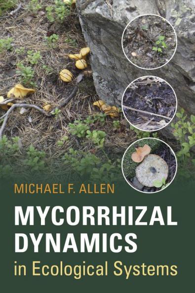 Mycorrhizal Dynamics in Ecological Systems