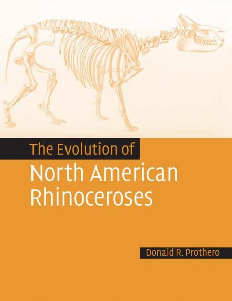 The Evolution of North American Rhinoceroses