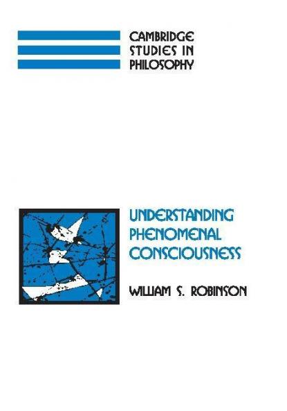 Understanding Phenomenal Consciousness