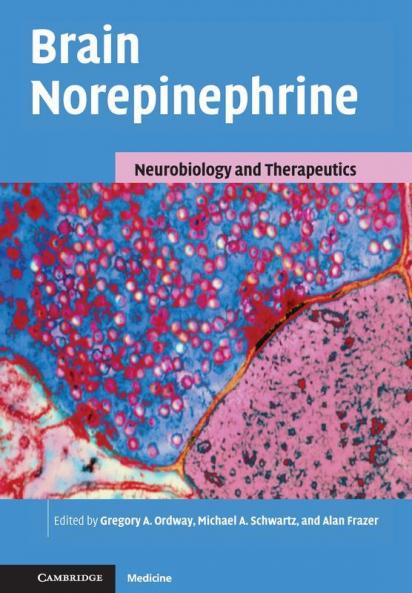 Brain Norepinephrine