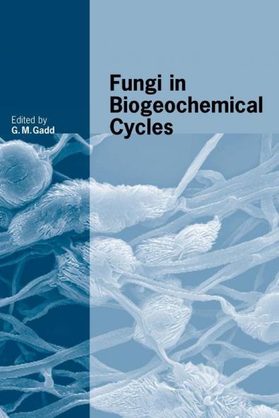 Fungi in Biogeochemical Cycles