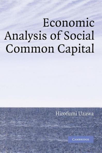 Economic Analysis of Social Common Capital
