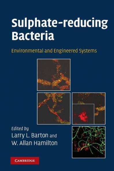 Sulphate-Reducing Bacteria