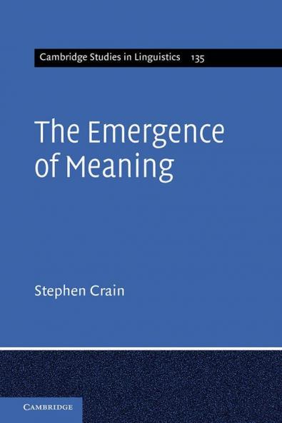 The Emergence of Meaning