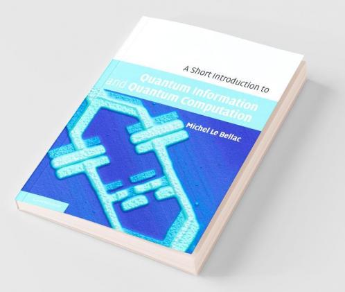 A Short Introduction to Quantum Information and Quantum Computation