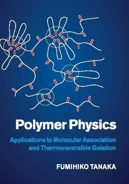 Polymer Physics