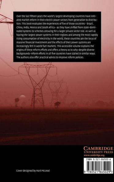The Political Economy of Power Sector Reform