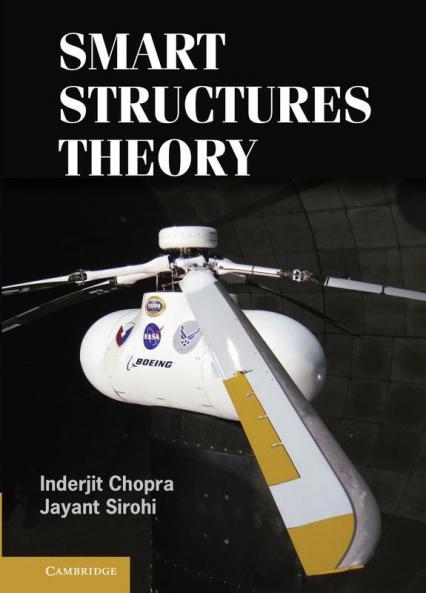 Smart Structures Theory