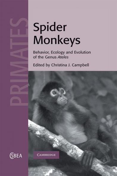 Spider Monkeys