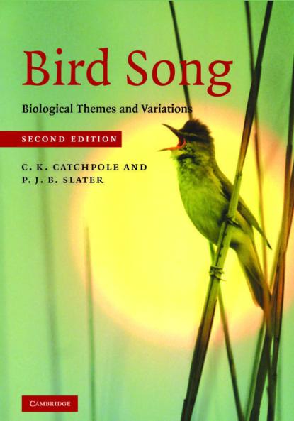 Bird Song