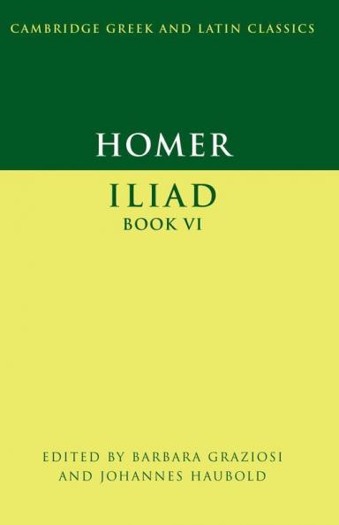 Iliad Book 6