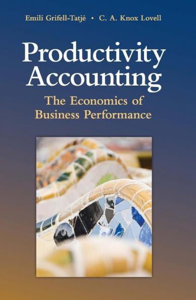 Productivity Accounting