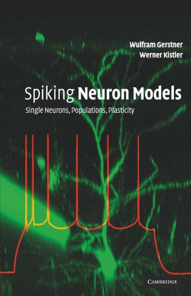 Spiking Neuron Models
