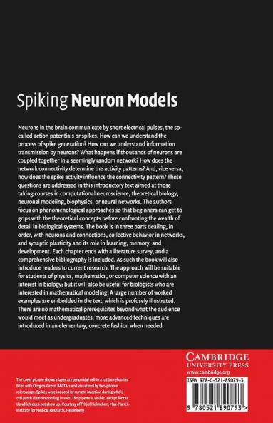 Spiking Neuron Models